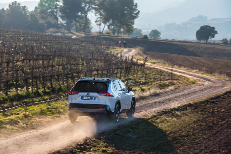  Toyota RAV4 Hybrid Style 2019 года  (WW) (фото 36 из 40)